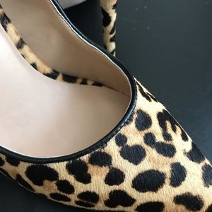 Size 7 Steve Madden cheetah print heels